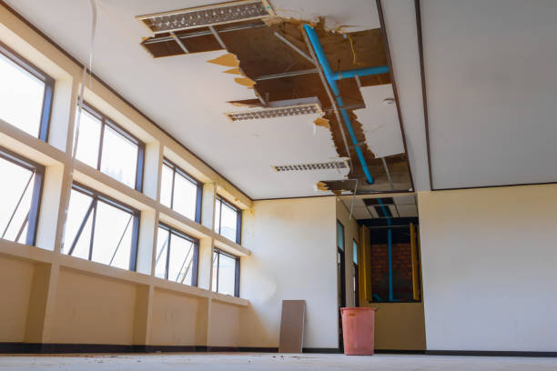 Best Water damage restoration process  in Saginaw, MI