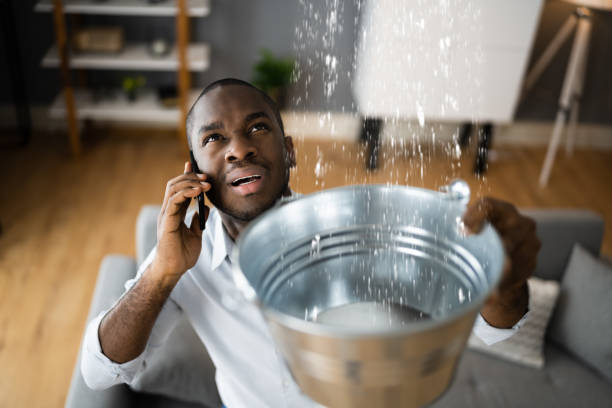 Best 24/7 water damage repair  in Saginaw, MI