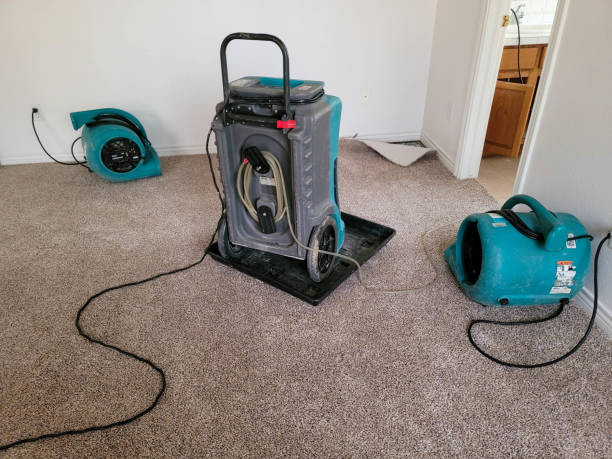 Best Flood damage cleanup  in Saginaw, MI