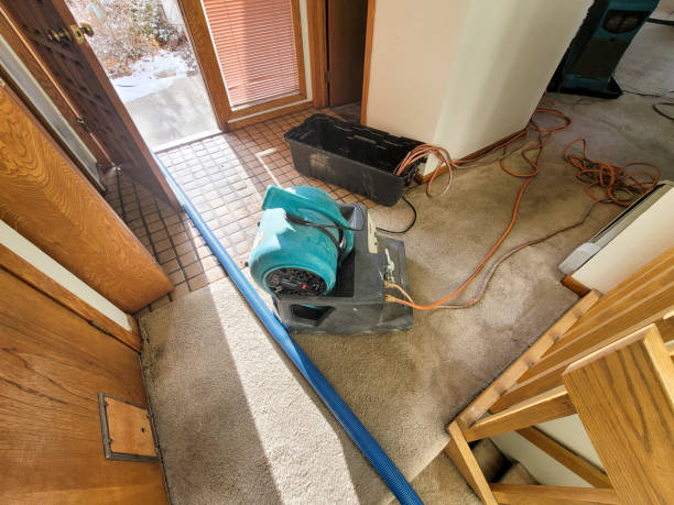 Best Carpet water damage restoration  in Saginaw, MI