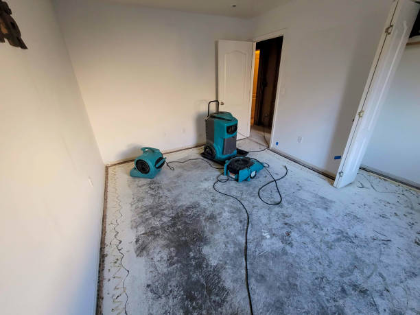 Best Fire Damage Restoration  in Saginaw, MI