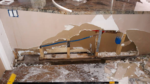 Best Carpet water damage restoration  in Saginaw, MI