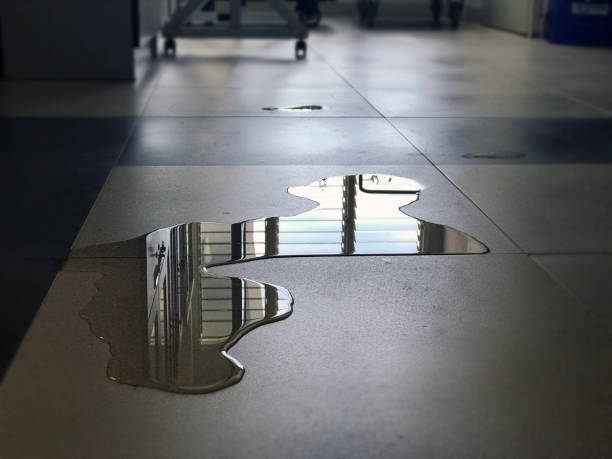 Best Water damage restoration near me  in Saginaw, MI