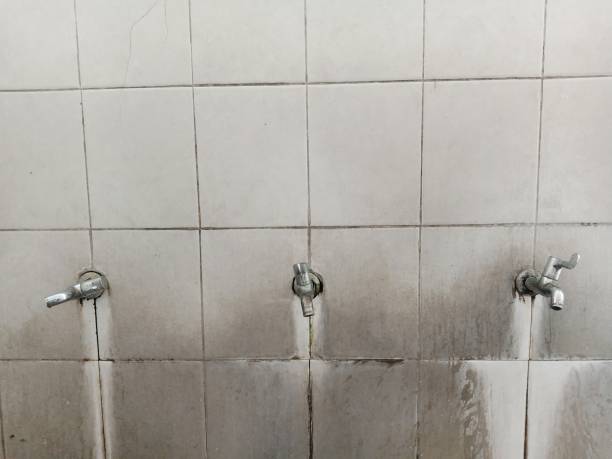 Best Basement water damage restoration  in Saginaw, MI