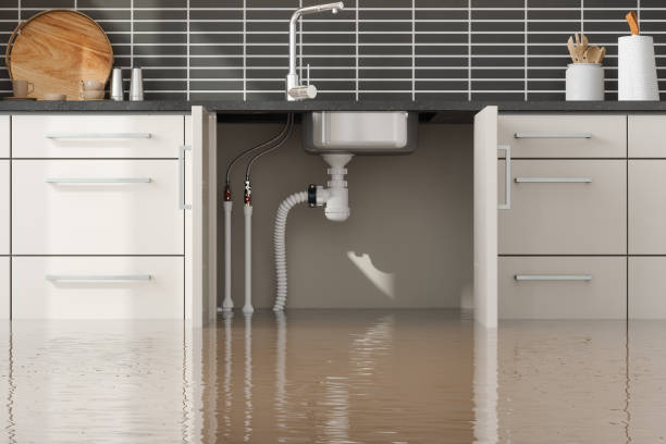 Best Flooded house restoration  in Saginaw, MI