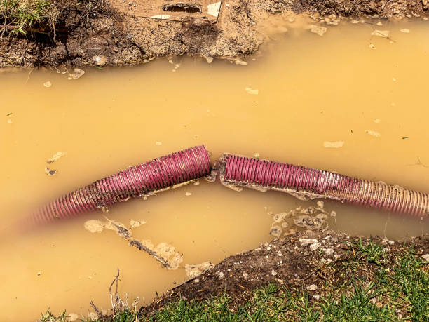 Best Emergency water damage restoration  in Saginaw, MI