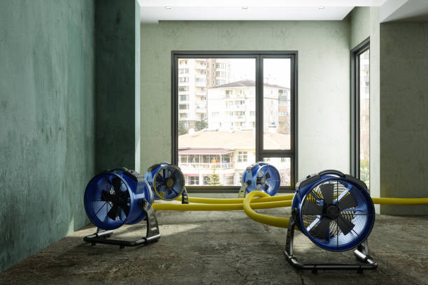 Best Residential water damage restoration  in Saginaw, MI