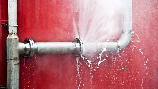 Best Water damage mitigation services  in Saginaw, MI